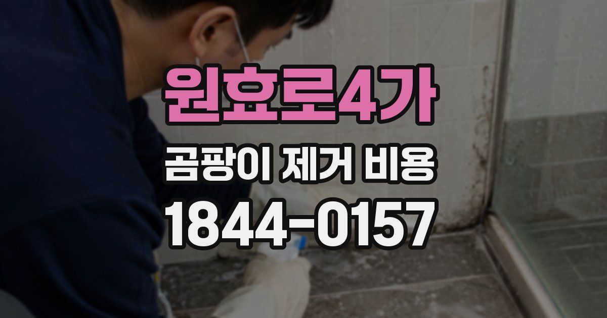 원효로4가 곰팡이 제거 비용