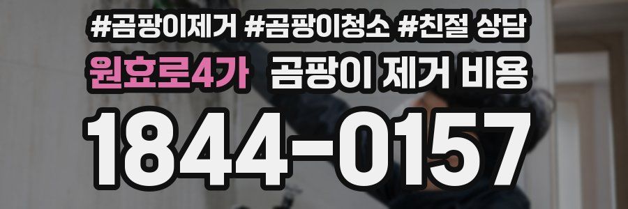 원효로4가 곰팡이 제거 비용