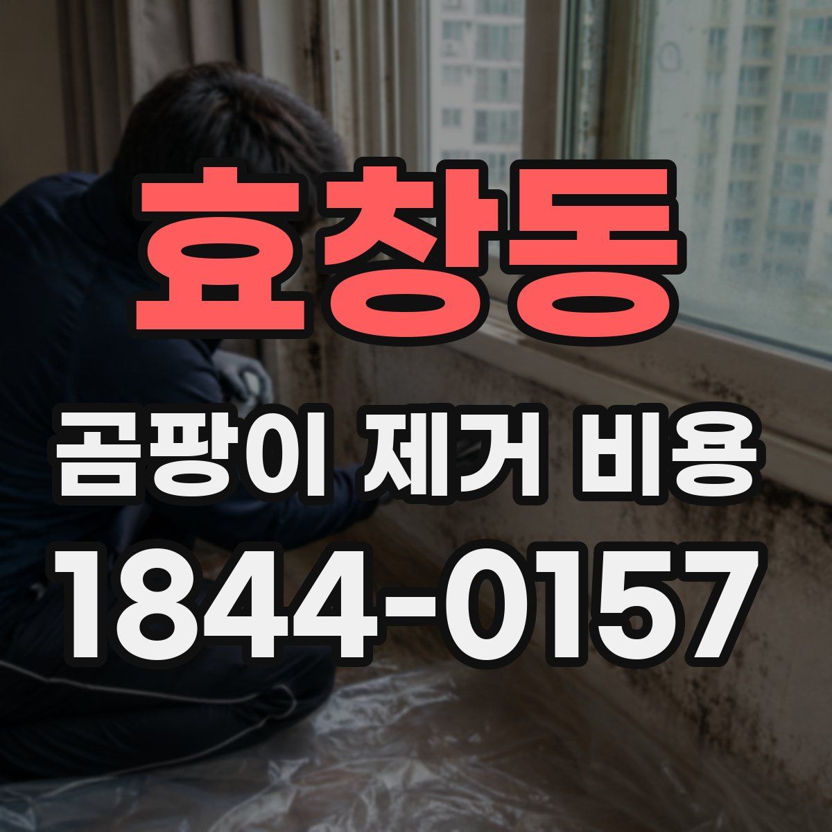 효창동 곰팡이 제거 비용