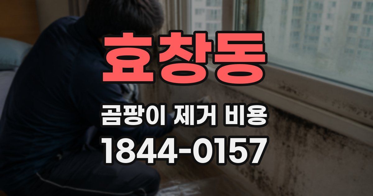 효창동 곰팡이 제거 비용