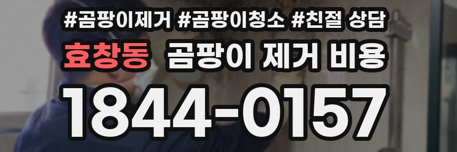 효창동 곰팡이 제거 비용