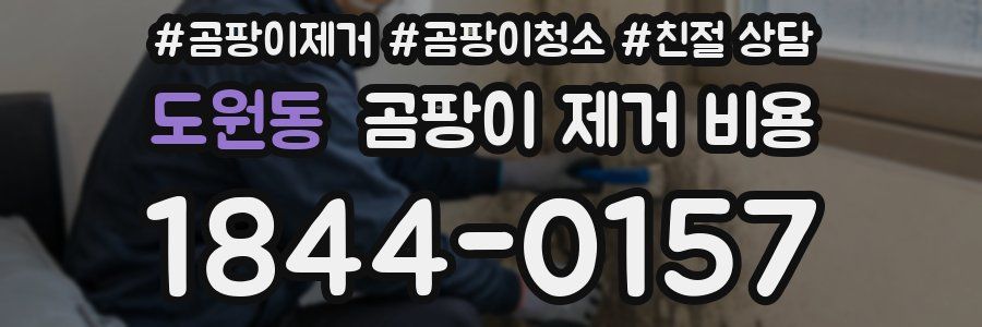 도원동 곰팡이 제거 비용
