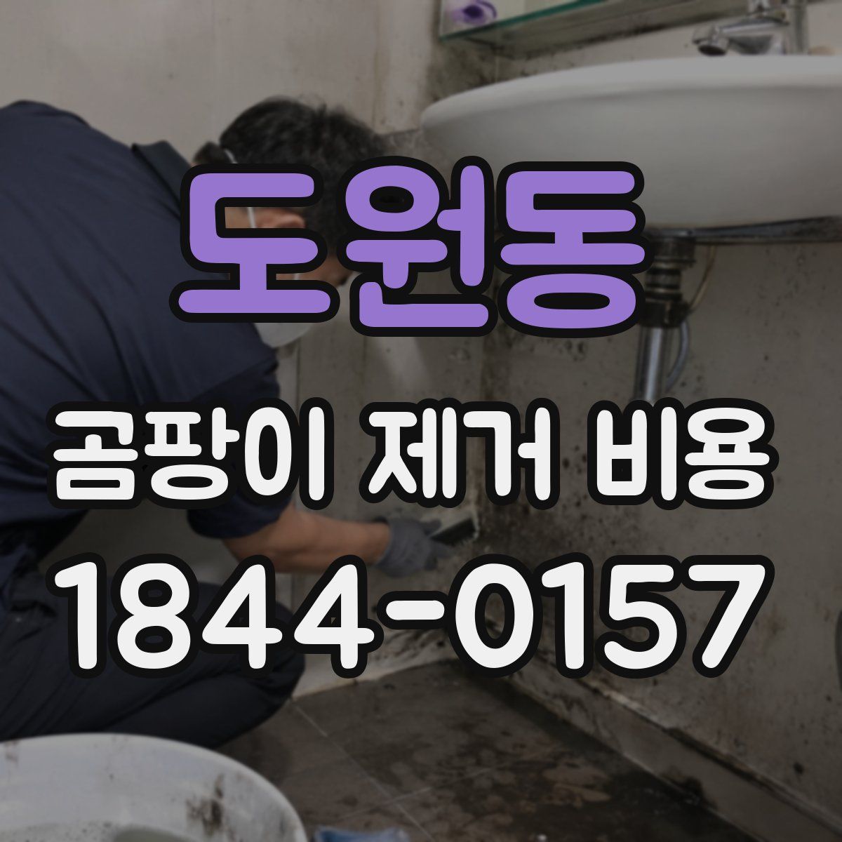 도원동 곰팡이 제거 비용