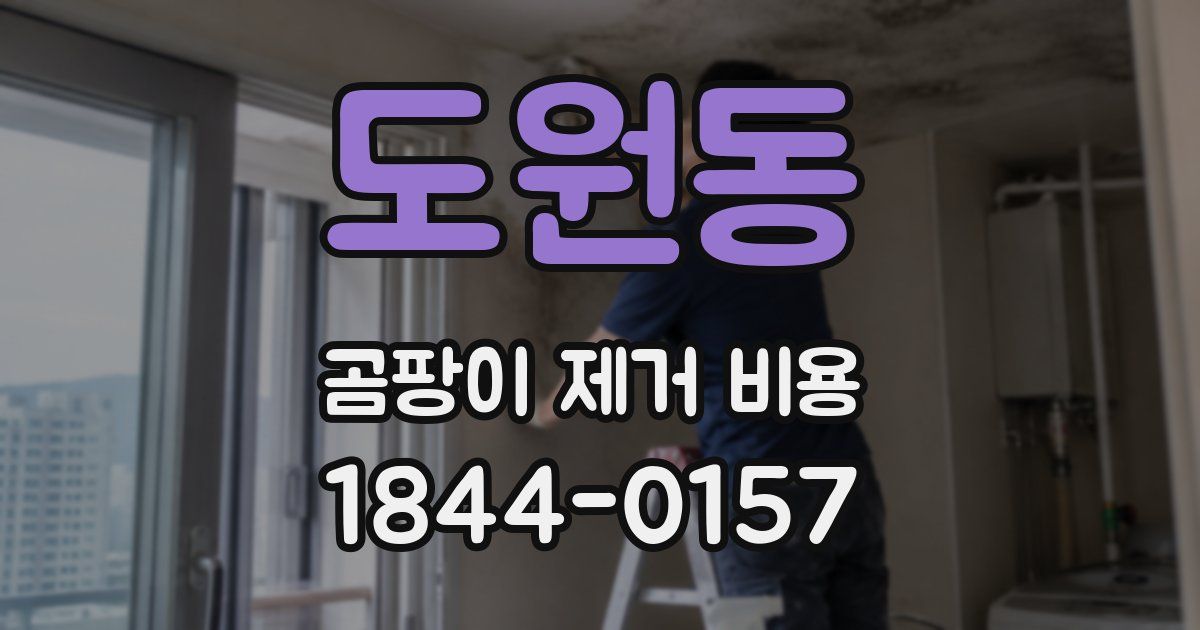 도원동 곰팡이 제거 비용