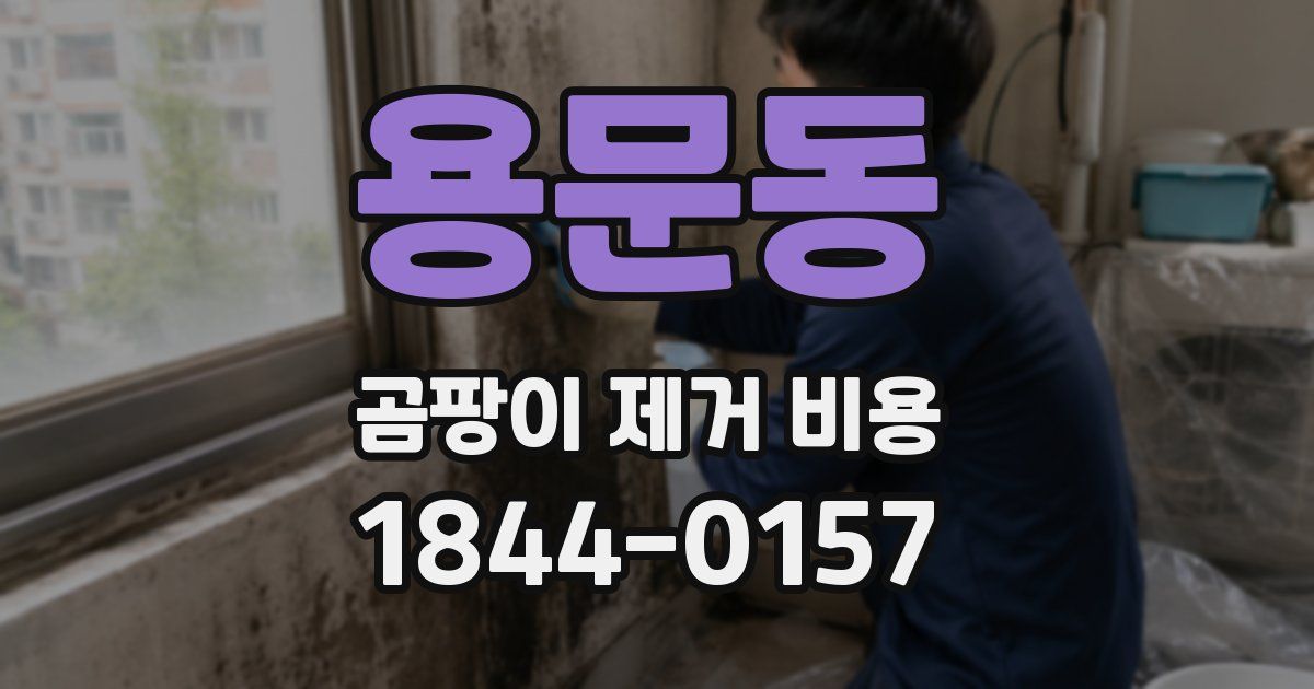 용문동 곰팡이 제거 비용