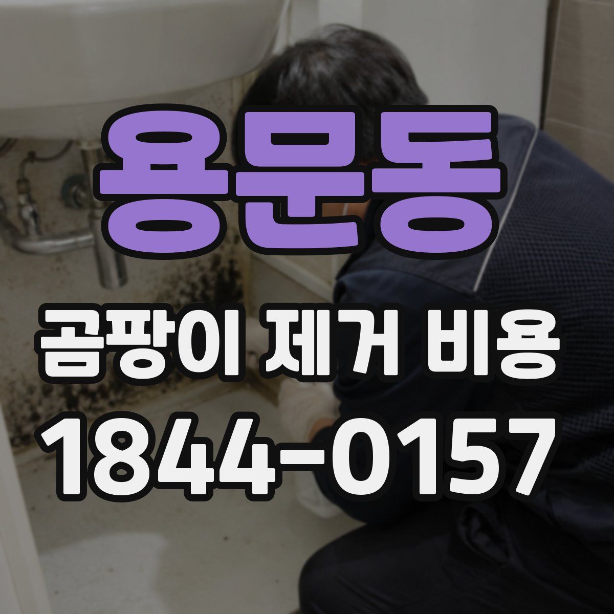 용문동 곰팡이 제거 비용