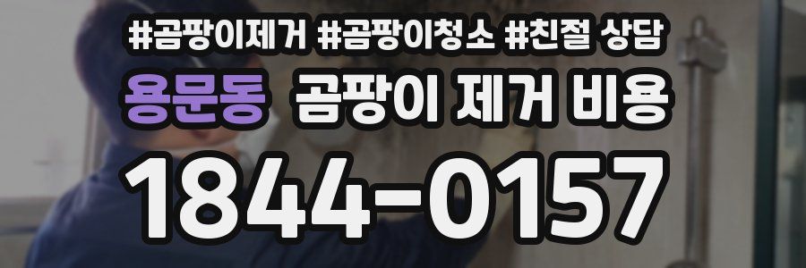 용문동 곰팡이 제거 비용