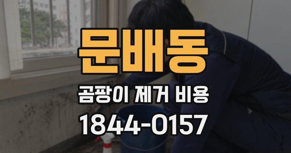 문배동 곰팡이 제거 비용