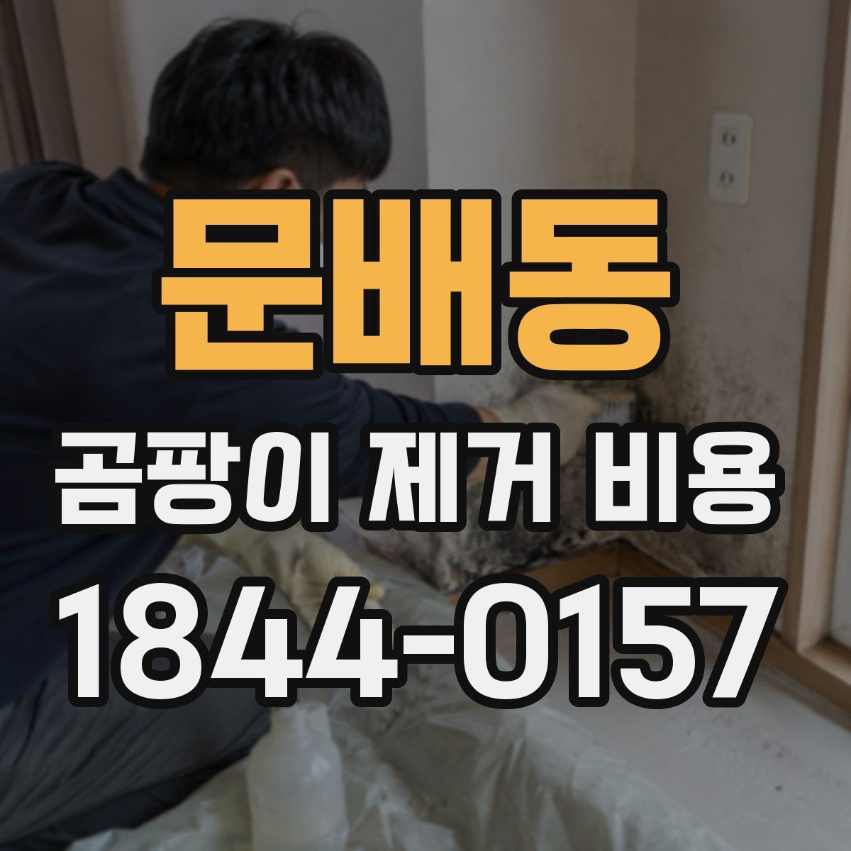 문배동 곰팡이 제거 비용