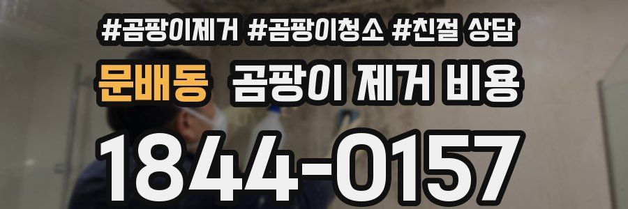 문배동 곰팡이 제거 비용