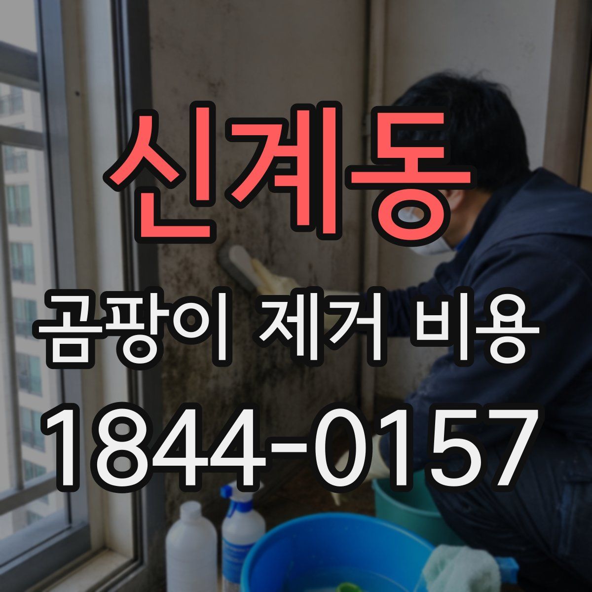 신계동 곰팡이 제거 비용