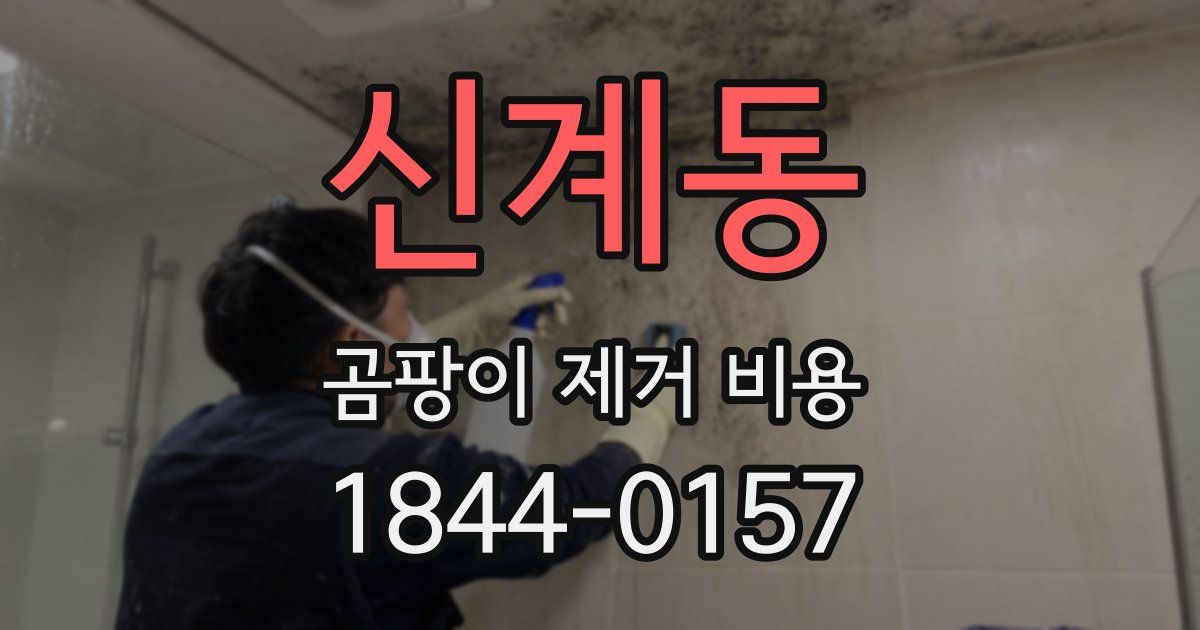 신계동 곰팡이 제거 비용