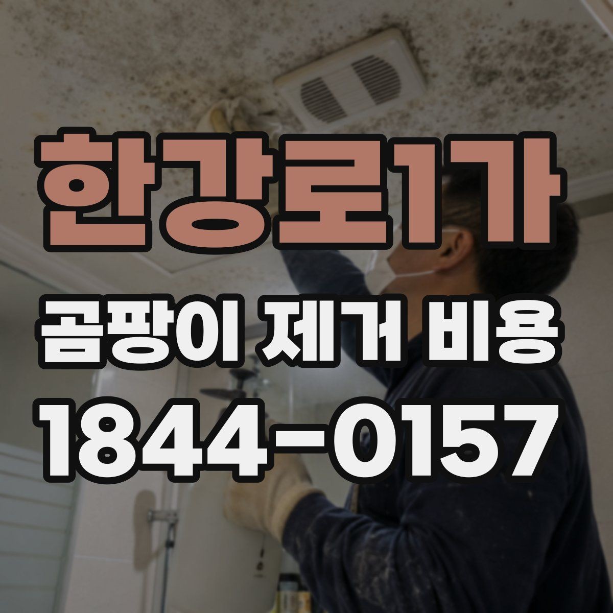 한강로1가 곰팡이 제거 비용 주택과 아파트는 무엇이 다를까