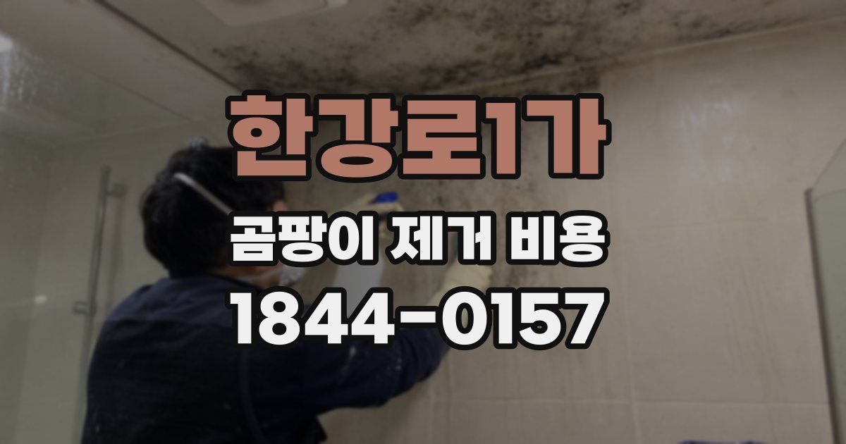 한강로1가 곰팡이 제거 비용