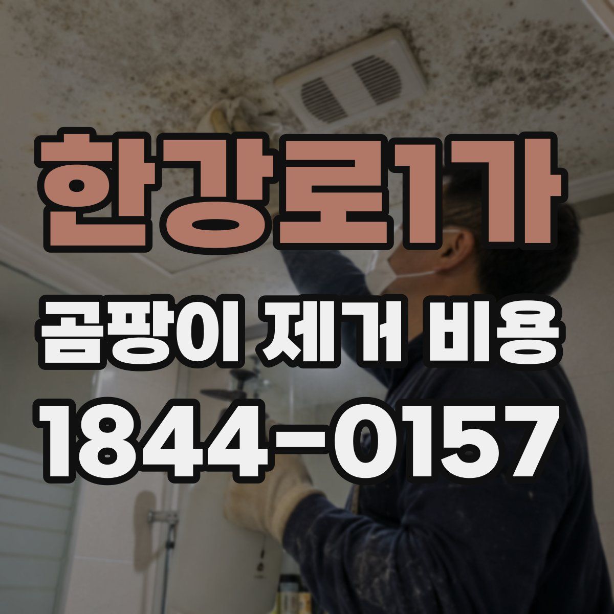 한강로1가 곰팡이 제거 비용