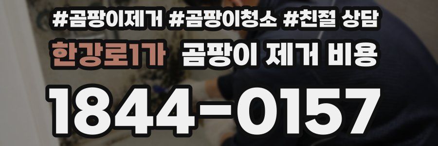한강로1가 곰팡이 제거 비용
