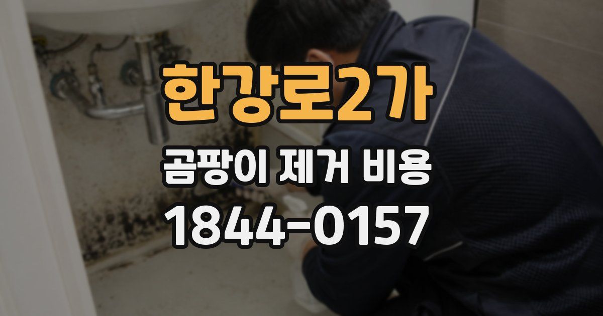 한강로2가 곰팡이 제거 비용