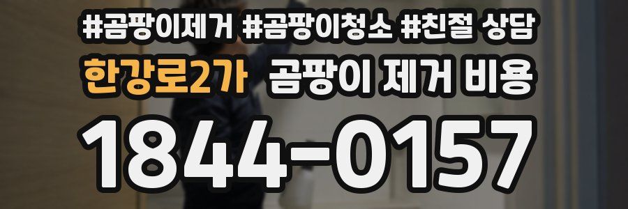 한강로2가 곰팡이 제거 비용