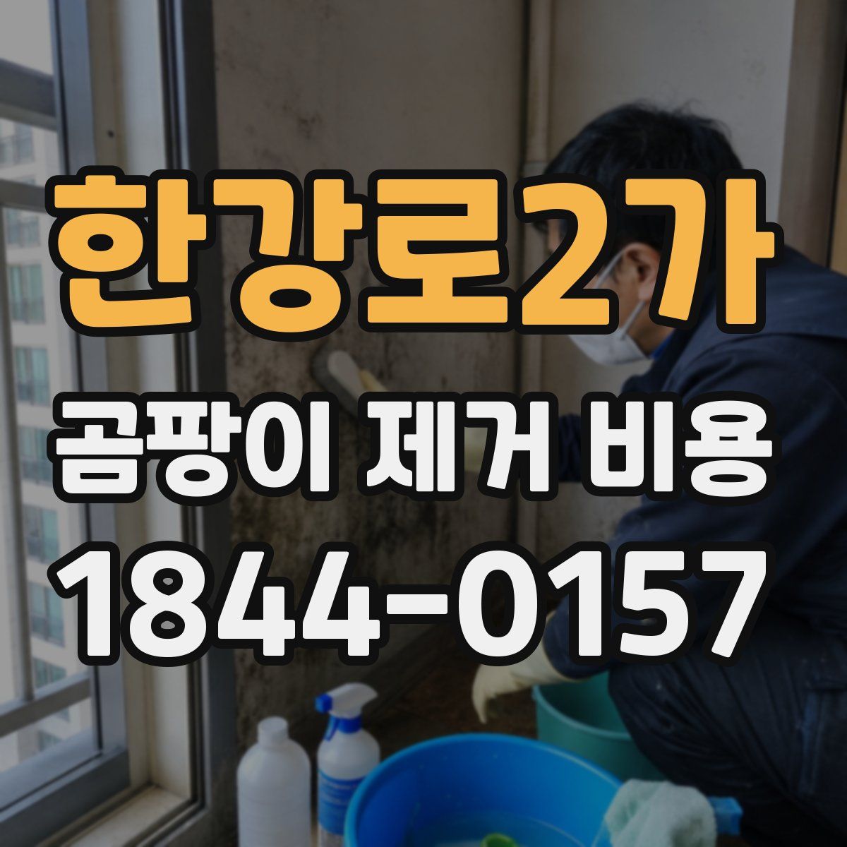 한강로2가 곰팡이 제거 비용