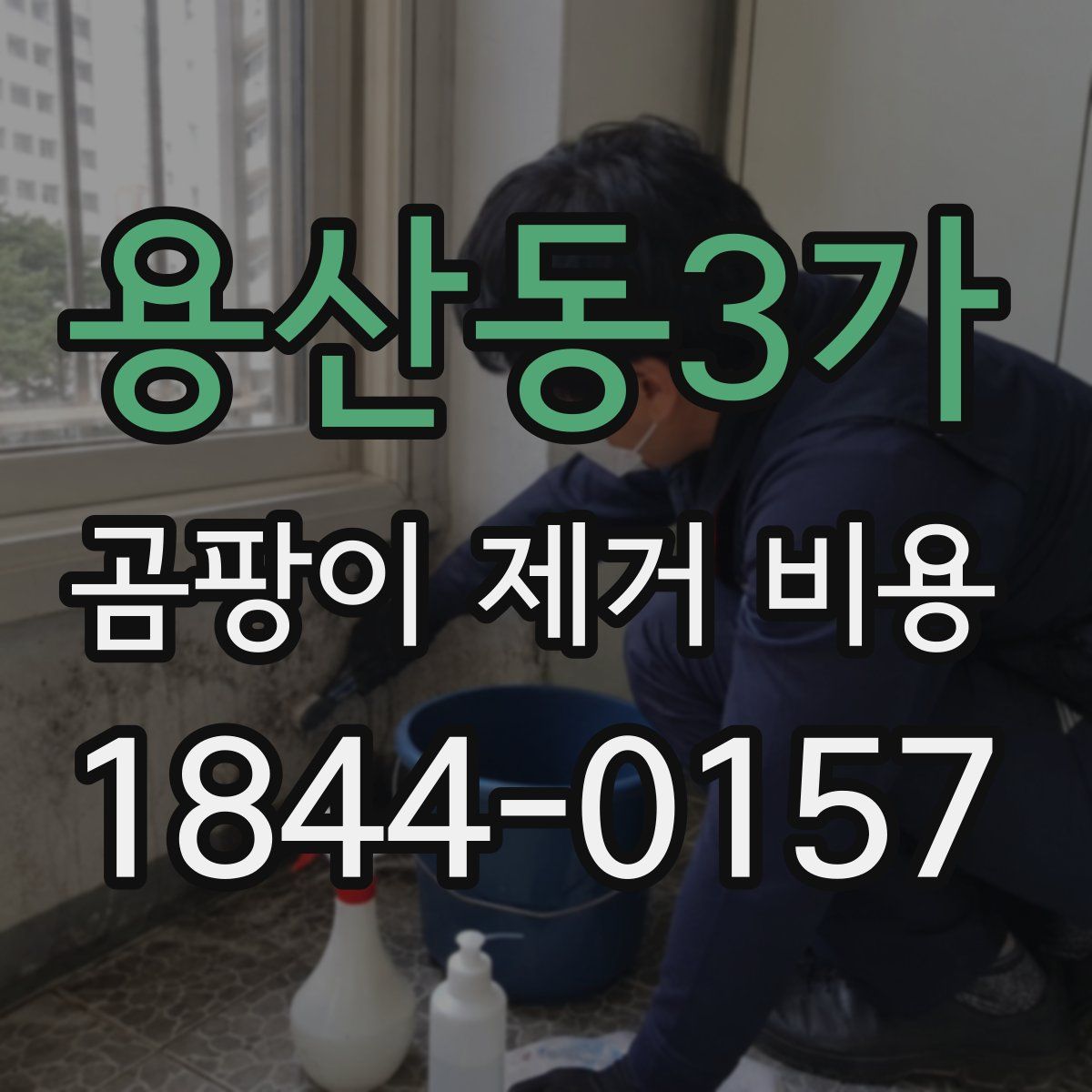 용산동3가 곰팡이 제거 비용