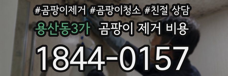 용산동3가 곰팡이 제거 비용