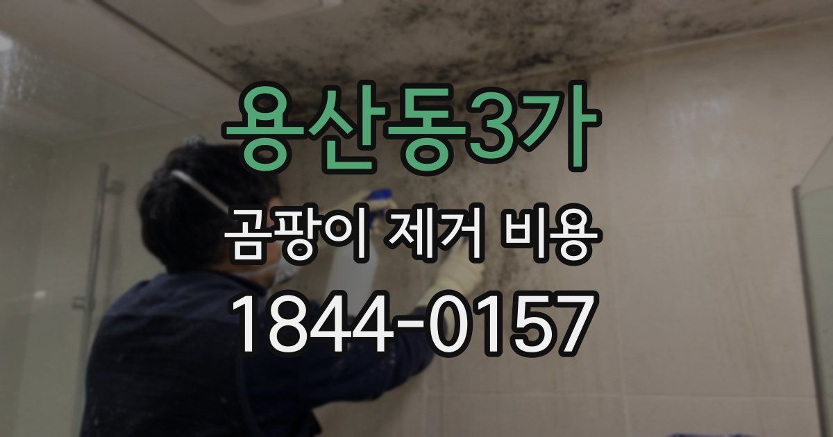 용산동3가 곰팡이 제거 비용