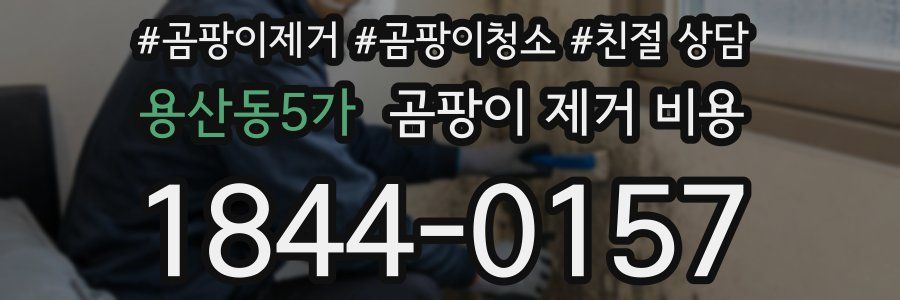 용산동5가 곰팡이 제거 비용