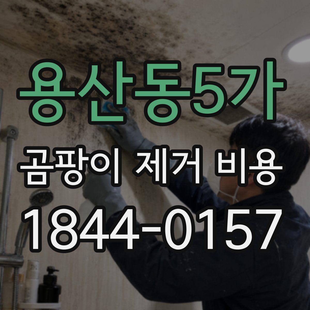 용산동5가 곰팡이 제거 비용