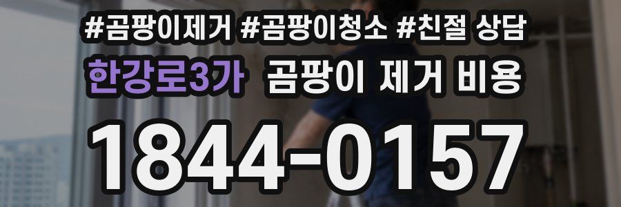 한강로3가 곰팡이 제거 비용