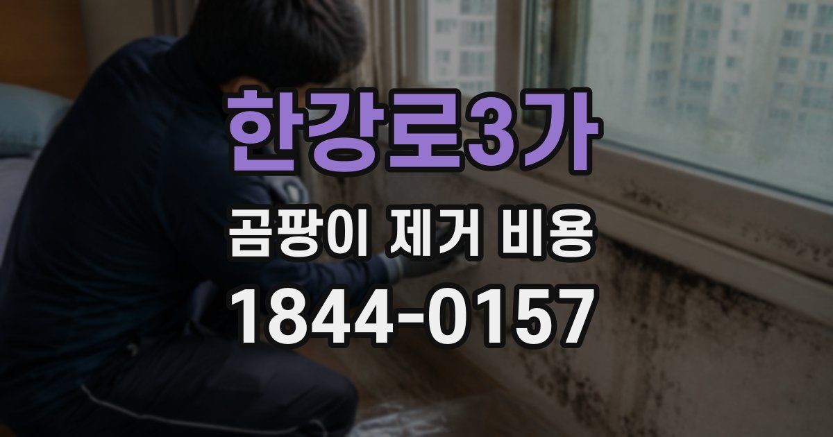 한강로3가 곰팡이 제거 비용