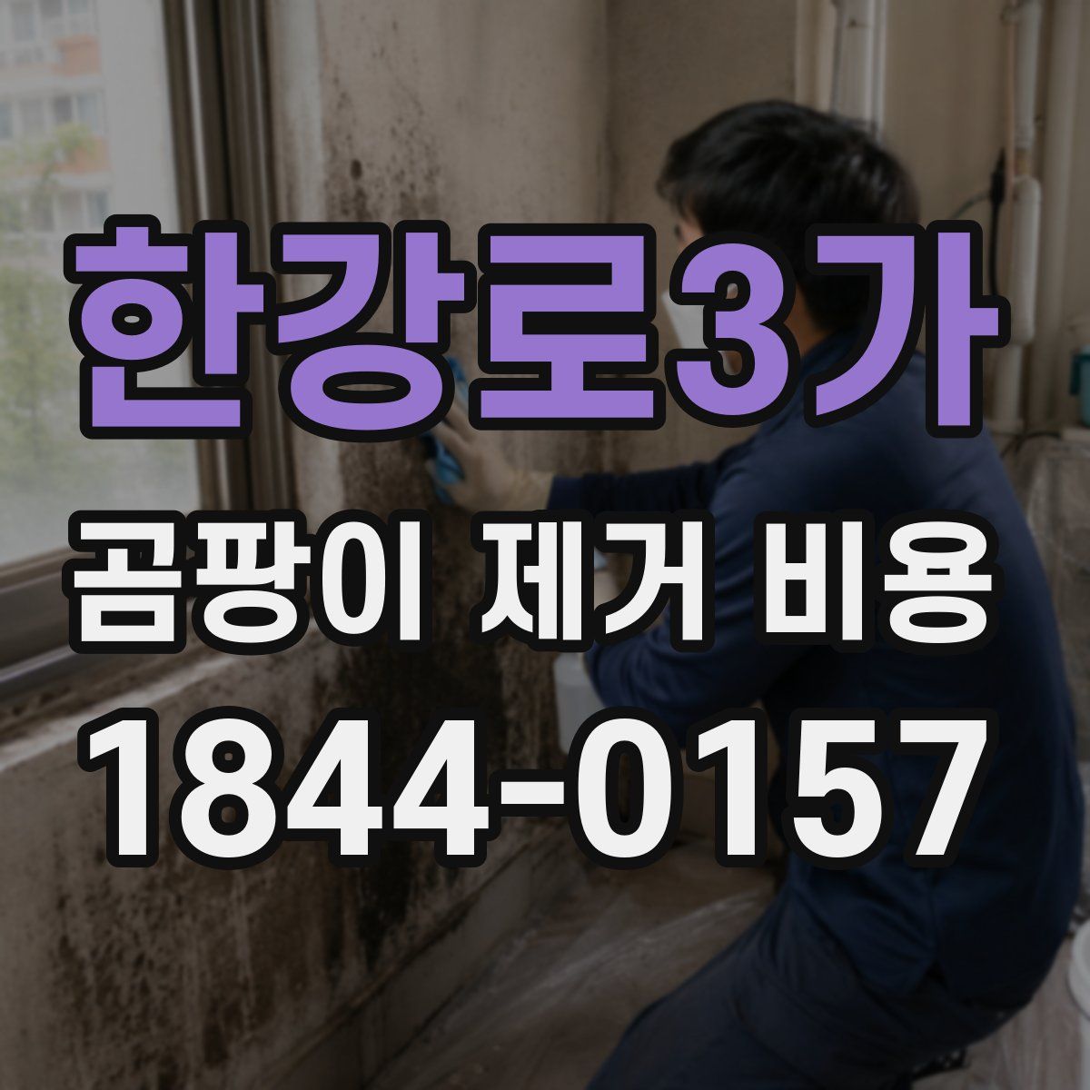 한강로3가 곰팡이 제거 비용