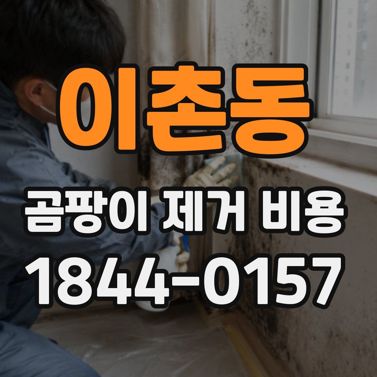 이촌동 곰팡이 제거 비용