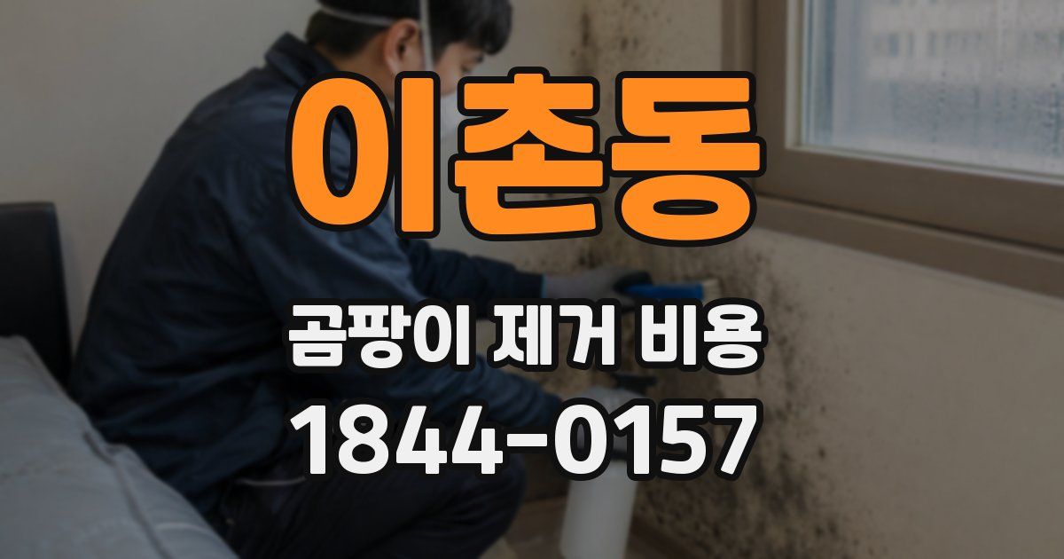 이촌동 곰팡이 제거 비용