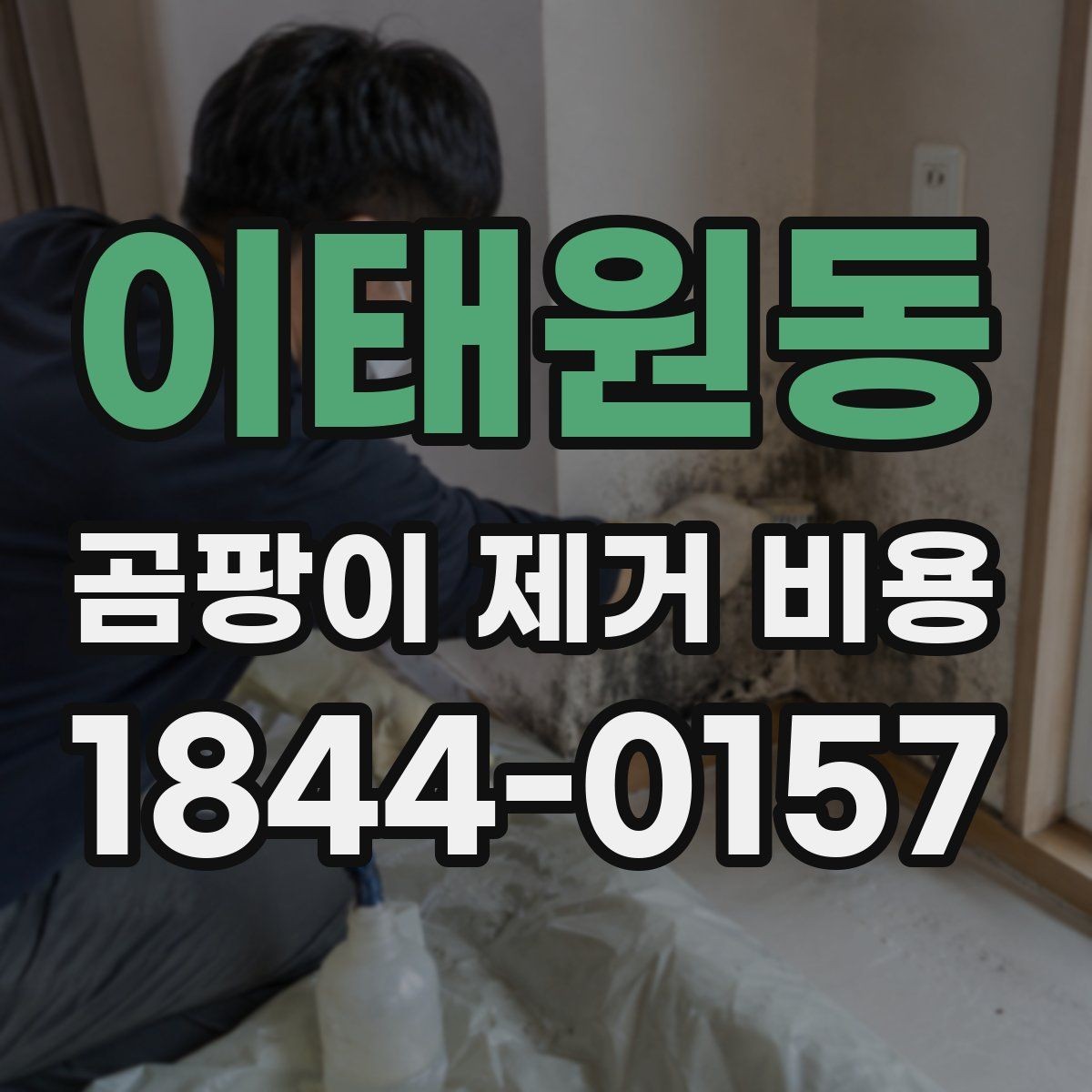 이태원동 곰팡이 제거 비용 전문 시공이 필요한 대표 상황