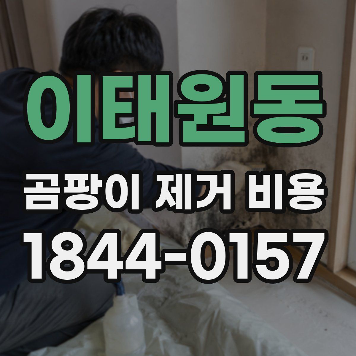 이태원동 곰팡이 제거 비용