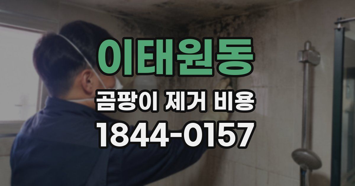 이태원동 곰팡이 제거 비용