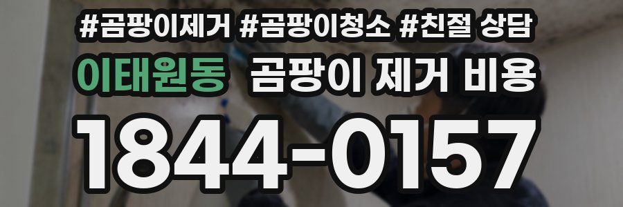 이태원동 곰팡이 제거 비용