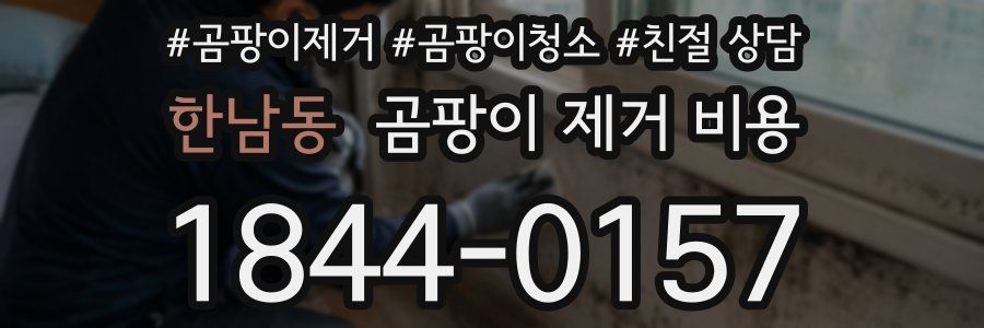 한남동 곰팡이 제거 비용