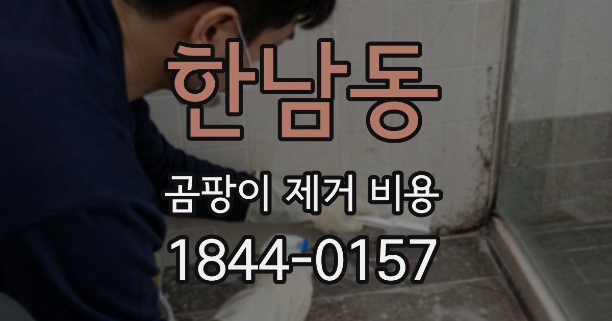 한남동 곰팡이 제거 비용