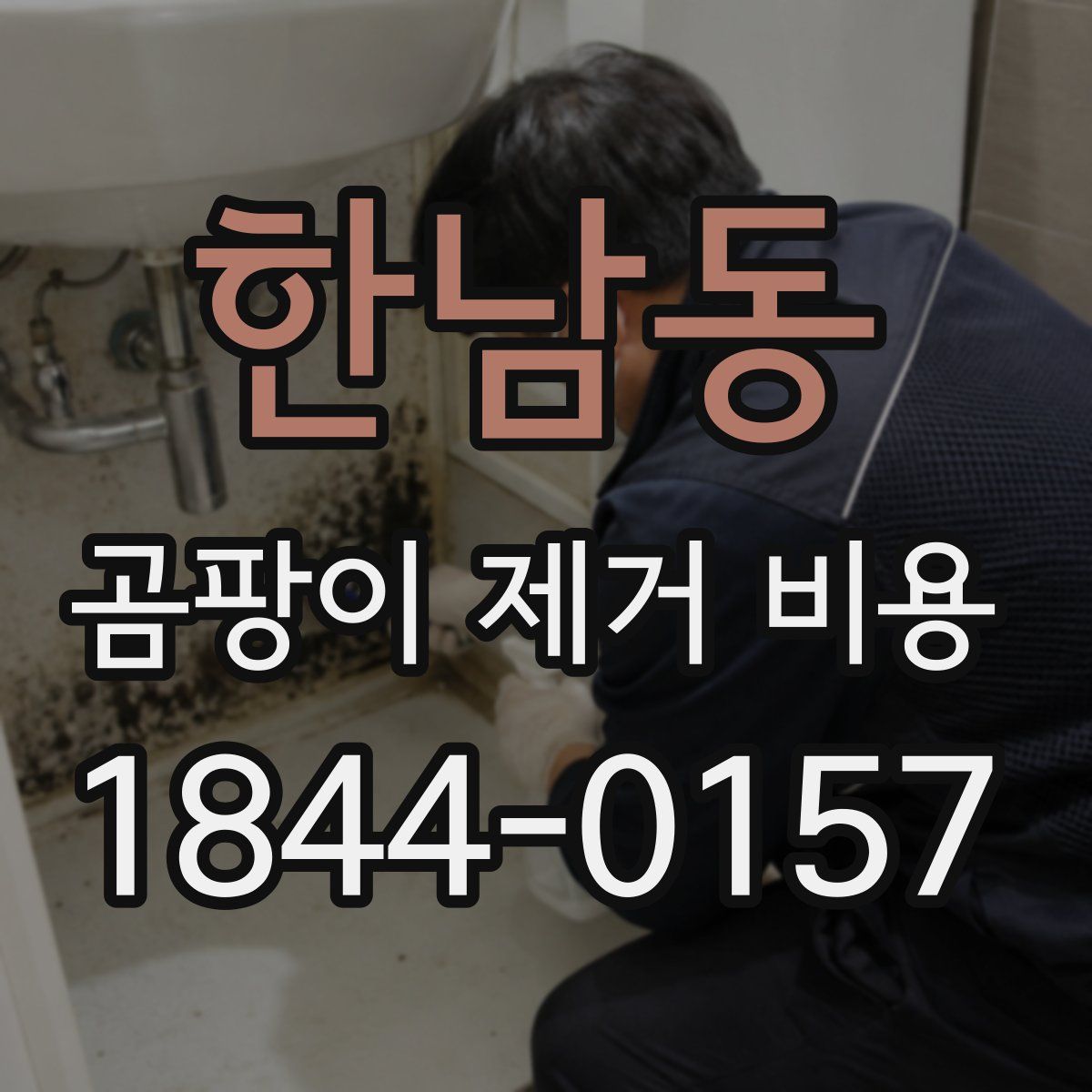 한남동 곰팡이 제거 비용