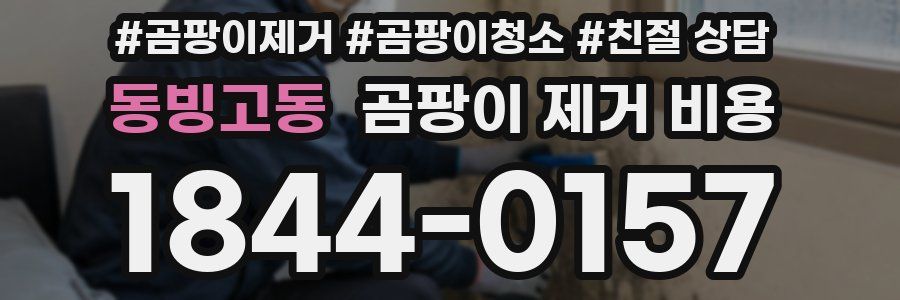 동빙고동 곰팡이 제거 비용