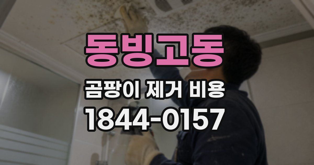 동빙고동 곰팡이 제거 비용