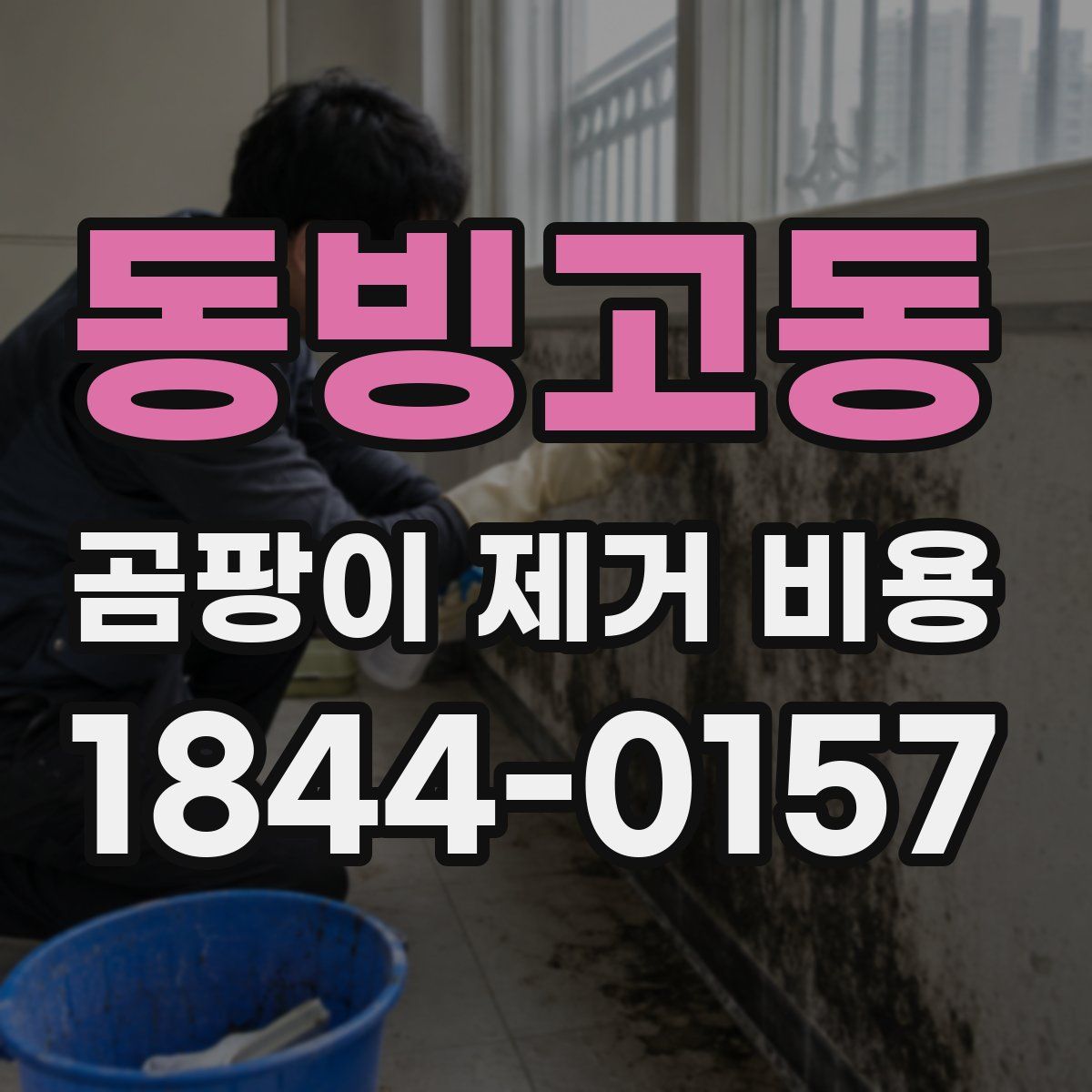 동빙고동 곰팡이 제거 비용