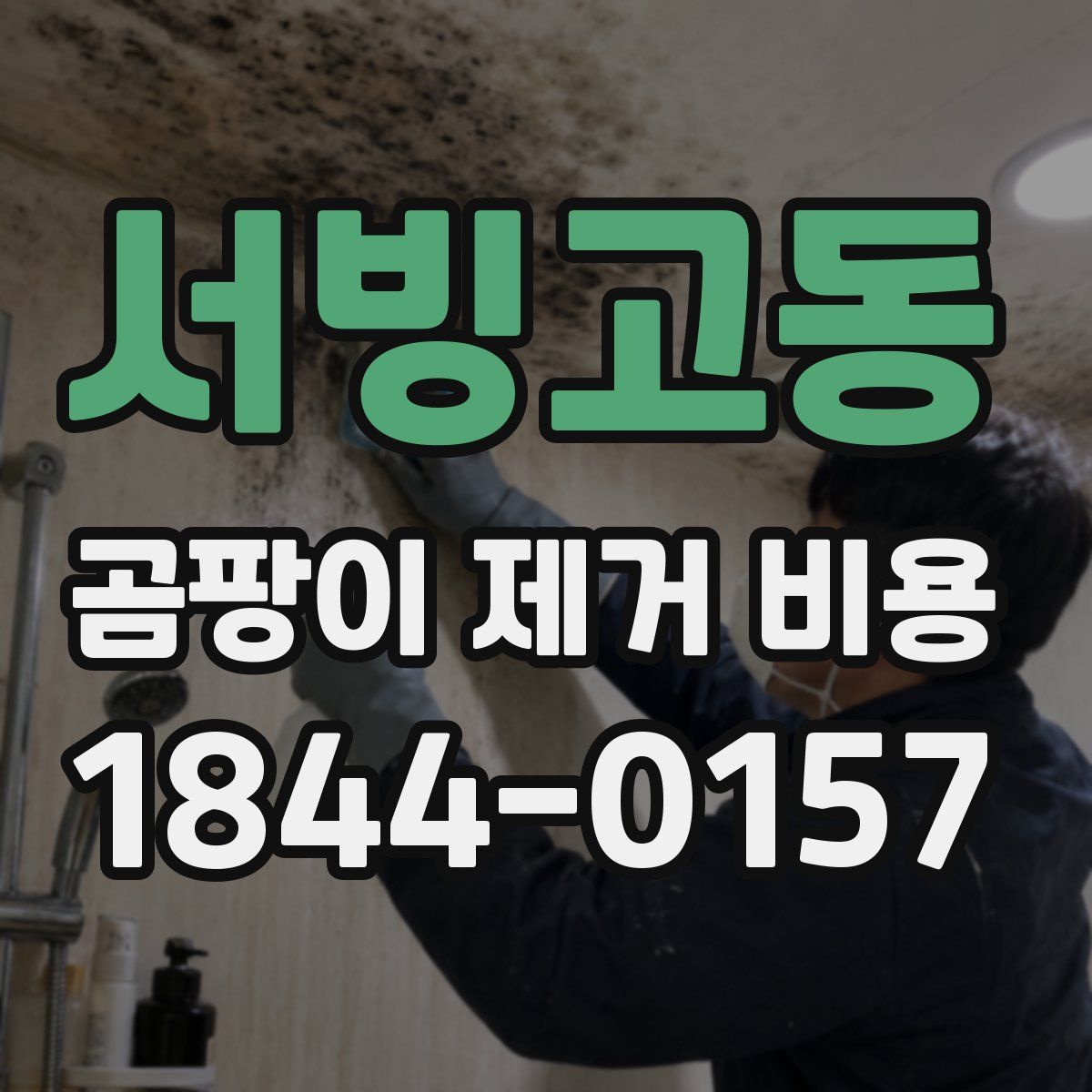 서빙고동 곰팡이 제거 비용