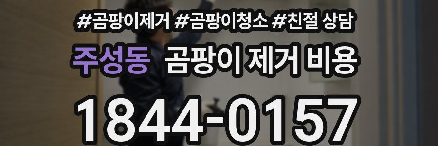 주성동 곰팡이 제거 비용