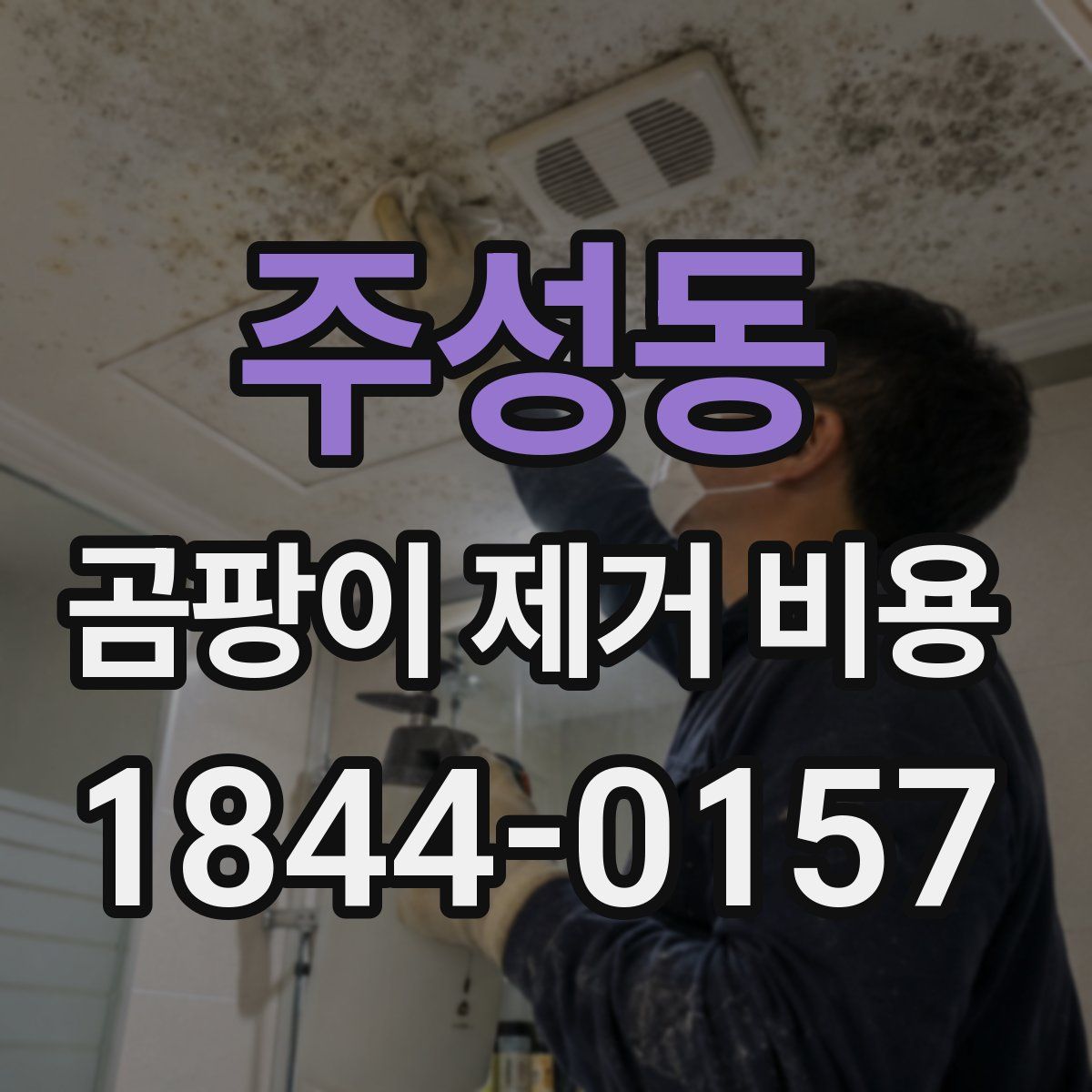 주성동 곰팡이 제거 비용