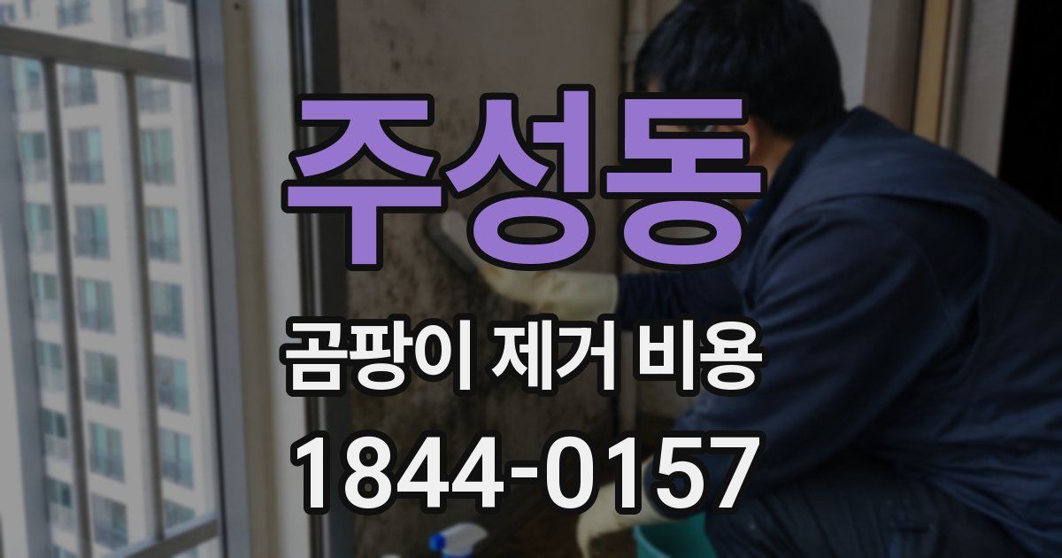 주성동 곰팡이 제거 비용