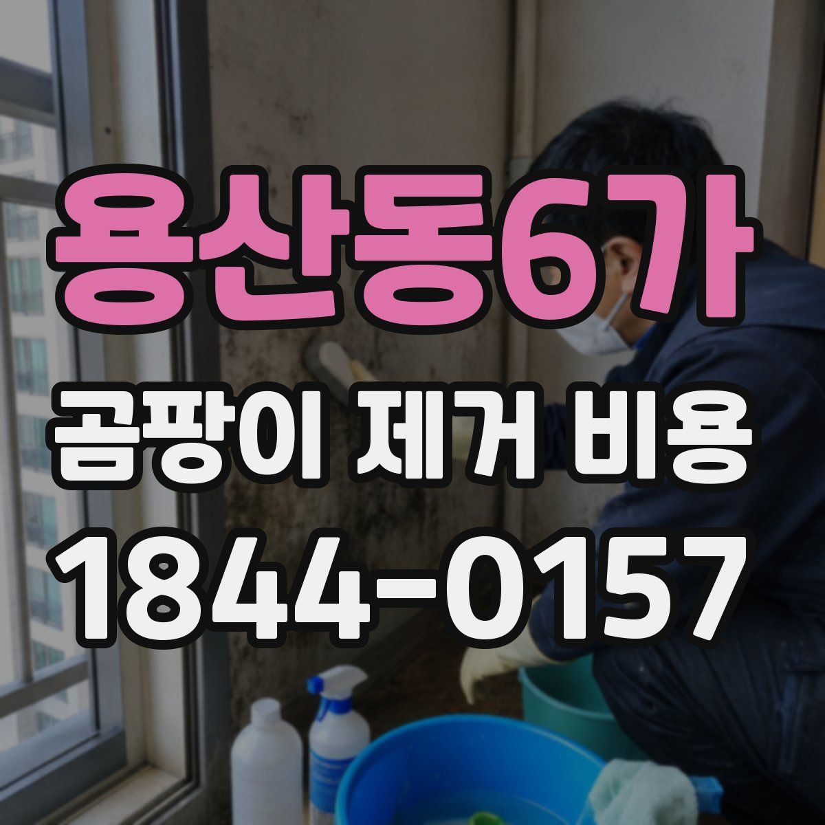 용산동6가 곰팡이 제거 비용