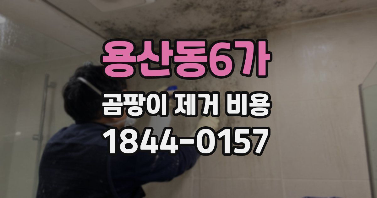 용산동6가 곰팡이 제거 비용