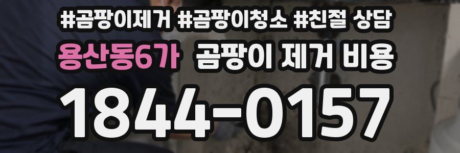 용산동6가 곰팡이 제거 비용
